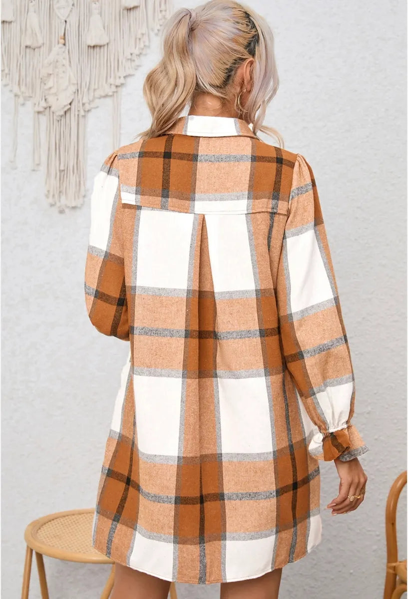 Plaid Pattern Collered Tunic/Dress